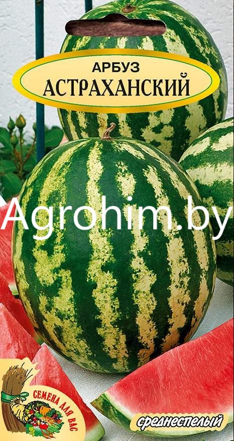 Арбуз -  семена с доставкой | Agrohim.by