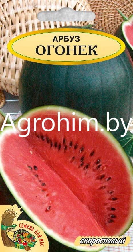 Арбуз -  семена с доставкой | Agrohim.by